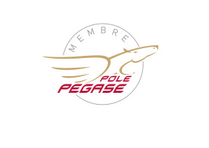 LABEL PEGASE(1)